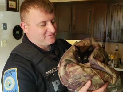 Frozen to a storm drain grate, Kitten in Millbrook rescued by First Responders this morning