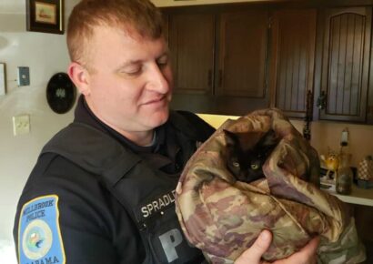 Frozen to a storm drain grate, Kitten in Millbrook rescued by First Responders this morning