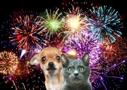 <strong>With NYE Fireworks, Lost Pet Posts are Coming, but you can Plan now to Prevent them</strong>