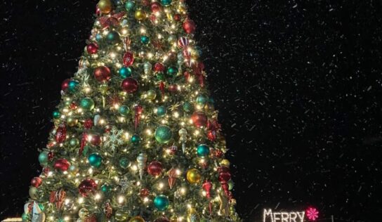 Prattville Welcomes Christmas with Tree Lighting, Tree Trail and Ice Skating