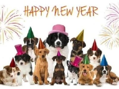 HSEC News: Ten New Year’s Resolutions for Pet Owners