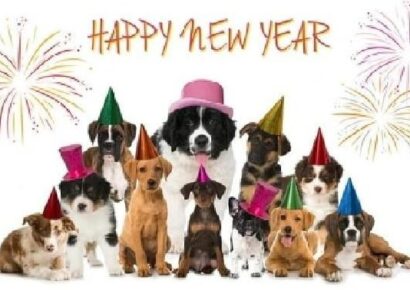 HSEC News: Ten New Year’s Resolutions for Pet Owners