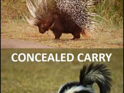 Alabama Concealed Carry Law Changes/Update: What you Need to Know