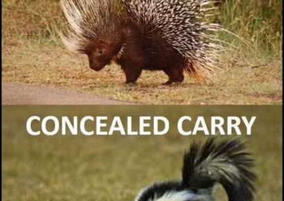 Alabama Concealed Carry Law Changes/Update: What you Need to Know