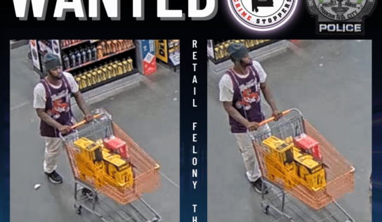 Prattville Police Seek Public’s Help to Identify Suspect in Felony Theft