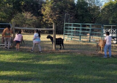 Pet Goats Shot, Killed in Butler County; CrimeStoppers Offers Reward