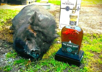 Remembering Big Star Tavern’s ‘Honey Bun’; She rooted her way into the Hearts of All Who Met her