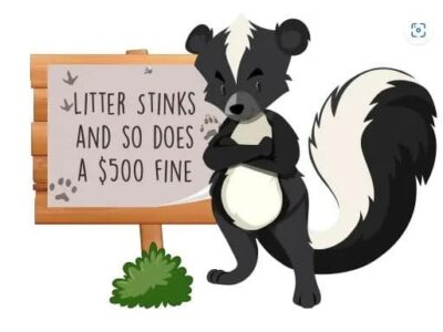 Report Illegal Dumping to the Proper Authorities