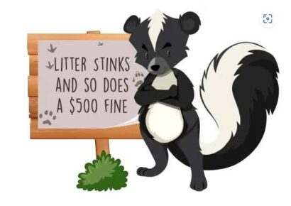 Report Illegal Dumping to the Proper Authorities