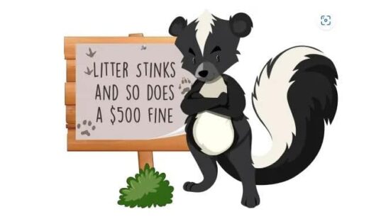 Report Illegal Dumping to the Proper Authorities