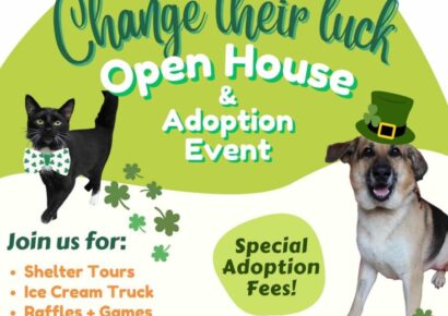 Change Their Luck: PAHS Hosting Open House, Events March 18 in Prattville