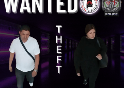 Prattville – Police Seeking Retail Felony Theft Suspects