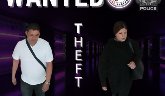 Prattville – Police Seeking Retail Felony Theft Suspects