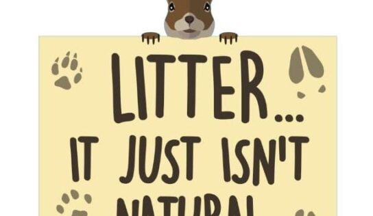 Elmore County Collection Facility Will be Closed Saturday