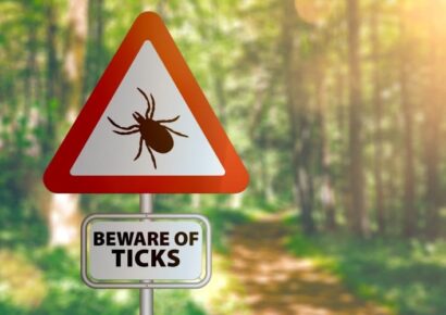 Take Care to Avoid Ticks as Warm Weather Arrives