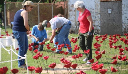 Poppies are Blooming Downtown in Prattville to Remember the Fallen