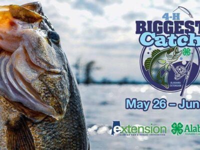 Biggest Catch competition continues through June 5