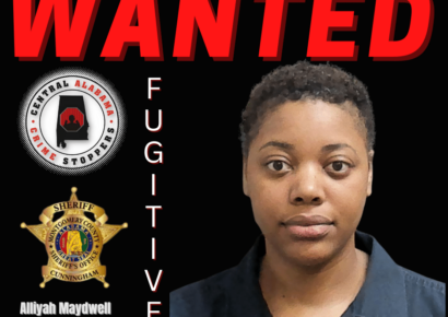 Wanted – Theft of Property 3rd Degree – Cash Reward Offered