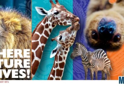 Military Appreciation Day at Montgomery Zoo moved to June16 due to Weather