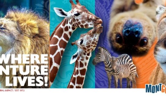 Military Appreciation Day at Montgomery Zoo moved to June16 due to Weather