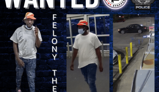 Prattville – Theft of Property 3rd Degree Investigation; Reward offered