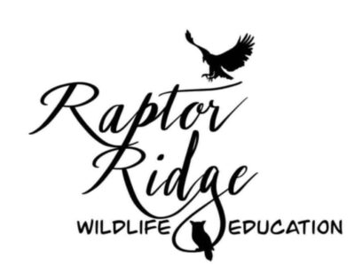 ‘Reading with Raptors’ Coming to Millbrook Public Library Tuesday