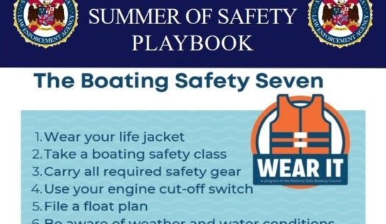 ALEA: Let Safety Ring – Celebrate America Responsibly this Fourth of July