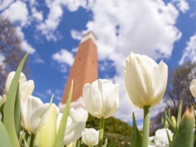 Dean’s, President’s Lists Students from our Area Named for UA Spring 2023 Term