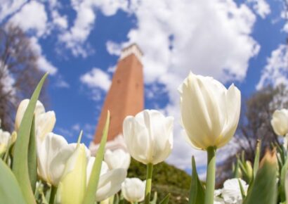 Dean’s, President’s Lists Students from our Area Named for UA Spring 2023 Term