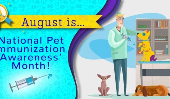 HSEC NEWS: August is National Immunization Awareness Month