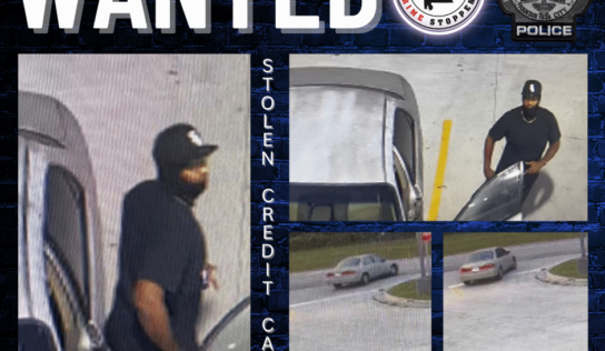 Prattville – Stolen Credit Cards Investigation – Cash Reward Offered