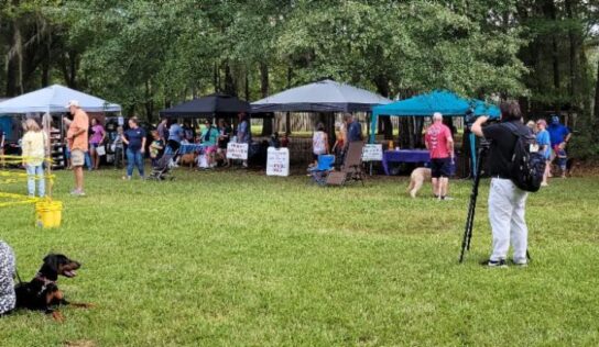 Great Weather, Huge Crowd Welcomes HSEC Bark in the Park