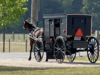 Amish craftsmen showcase unique skills this weekend in Millbrook