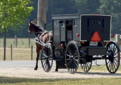 Amish craftsmen showcase unique skills this weekend in Millbrook 