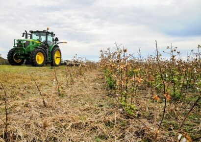 Autauga County Extension offers more than just your typical gardening