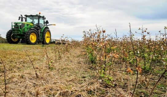 Autauga County Extension offers more than just your typical gardening