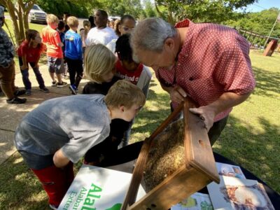 Local Beekeeper, Allen Mills, Keeps his Passion for Honeybees Through the Years