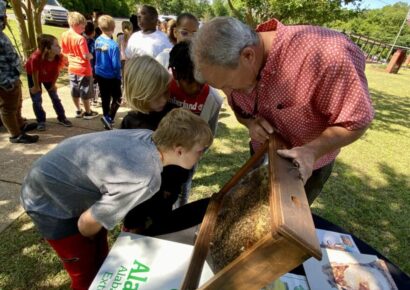 Local Beekeeper, Allen Mills, Keeps his Passion for Honeybees Through the Years