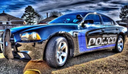 Two adults, one juvenile arrested for Organized Retail Theft in Millbrook