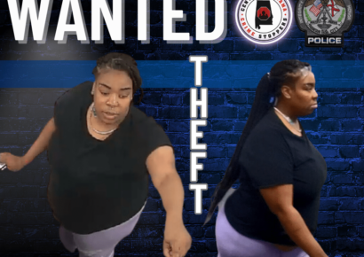 Prattville – Theft of Property 3rd Degree Investigation – Cash Reward Offered