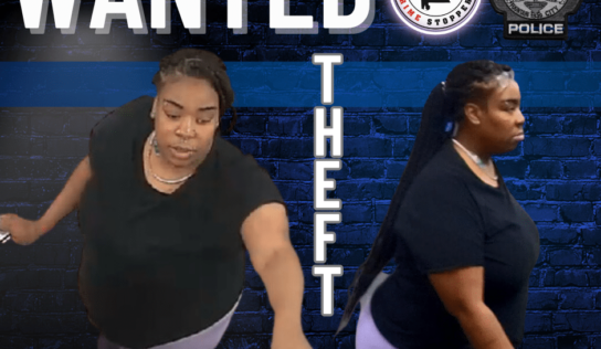 Prattville – Theft of Property 3rd Degree Investigation – Cash Reward Offered