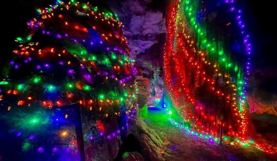 Rickwood Caverns State Park again celebrates holiday season with ‘Wonderland Under Warrior’