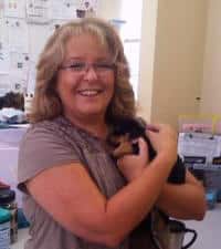 HSEC: With Expenses Rising, need for Donations/Volunteers also Grows