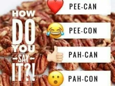 Just in time for Holiday Cooking! Prattville Civitans selling Pecans