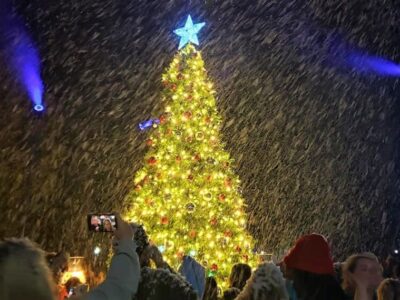 Millbrook to host A Candyland Christmas with tree lighting, festival and parade!