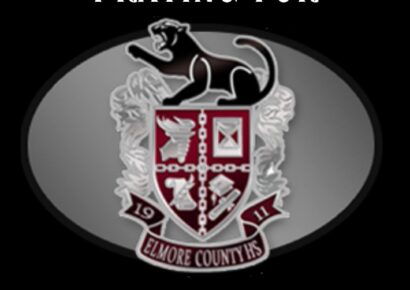 Eclectic Juvenile perishes in single-vehicle accident