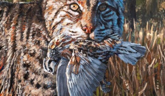 Auburn graduate wins top prize at Wetumpka Wildlife Arts Festival
