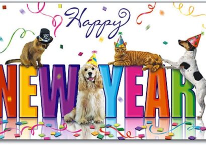 HSEC wishes everyone a Happy New Year, with some resolution suggestions for pet owners