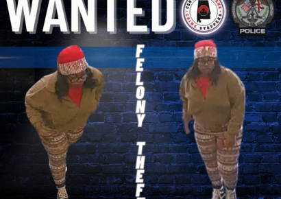 Prattville –  Felony Retail Theft Investigation – Cash Reward Offered