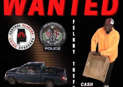Theft of property 2nd degree investigation in Prattville, cash reward offered